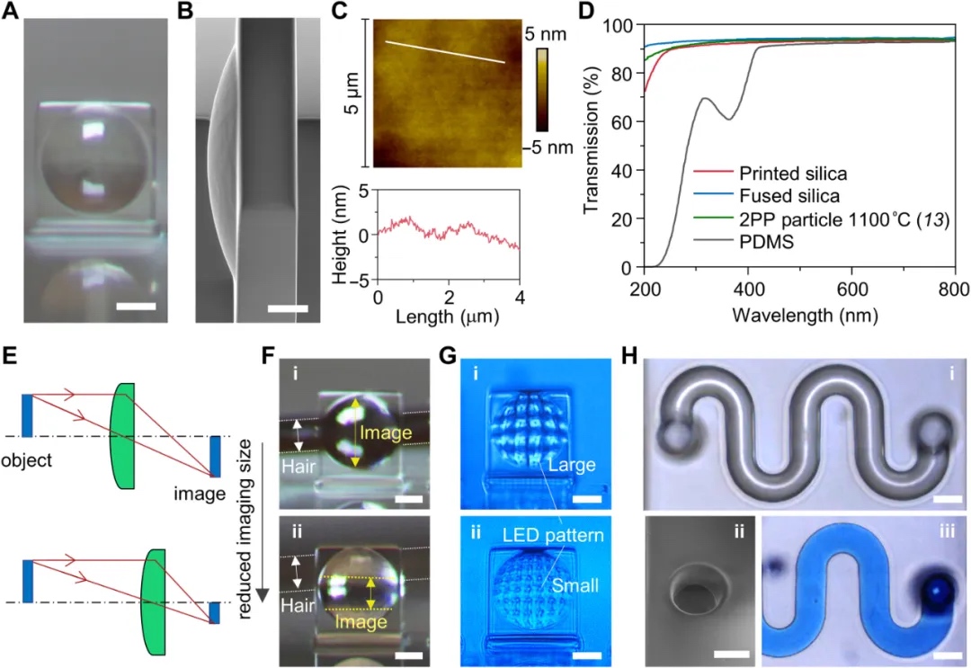 喬治亞理工學院開創光化學策略，溫和條件下3D打印微米級玻璃結構